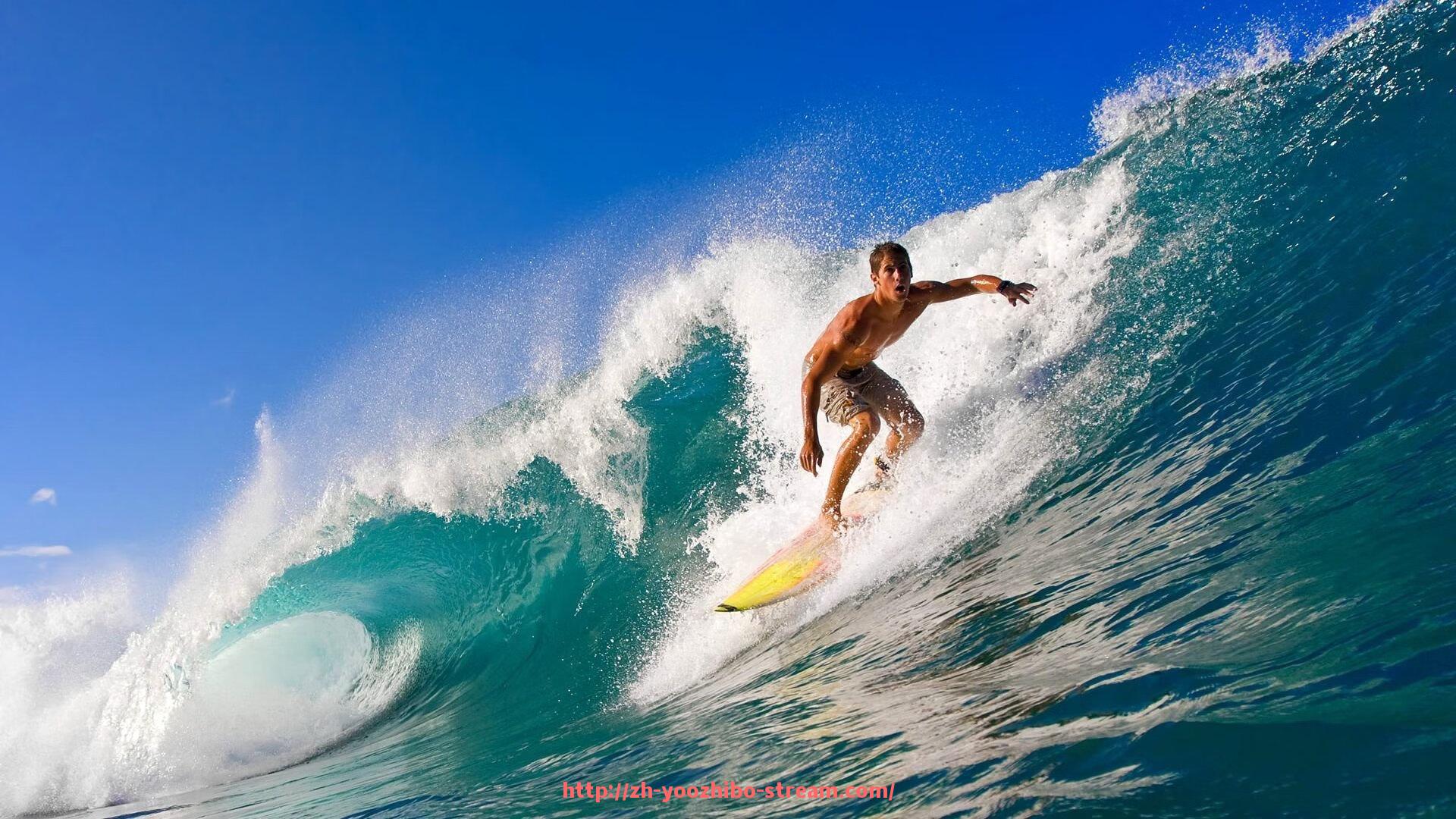 优直播-美国健身器材品牌：美国最受欢迎的健身器材